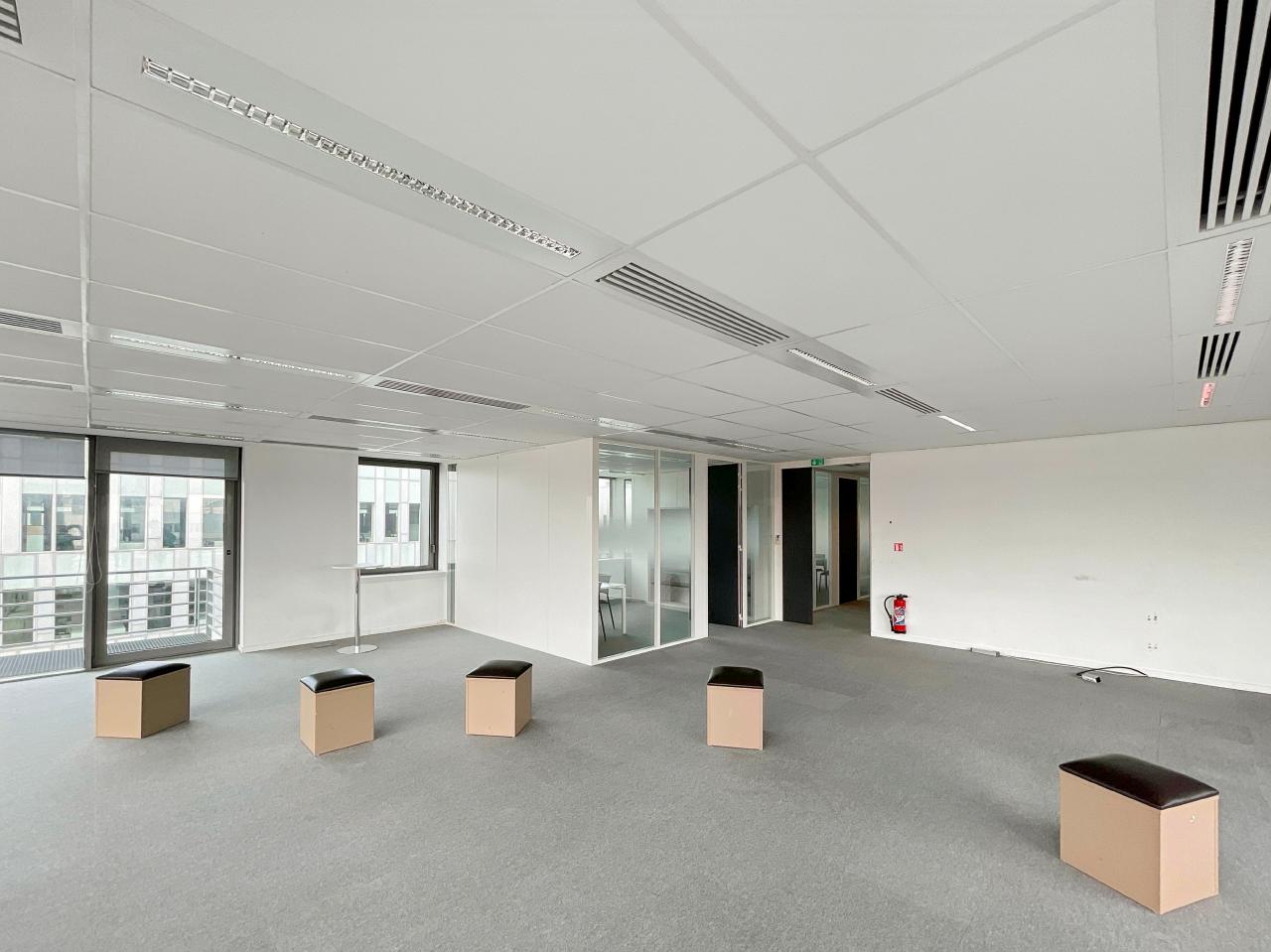 Bureau La Plaine Saint-Denis 16850m² Location bureau La Plaine Saint-Denis Seine-Saint-Denis OLBUR2205849 9
